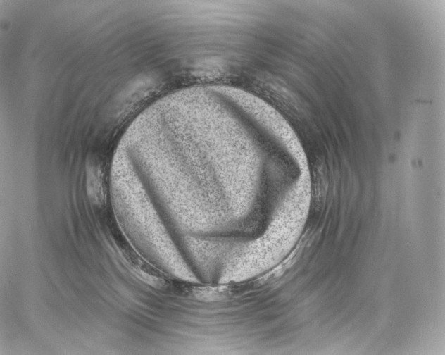 X0000060280136200511112123