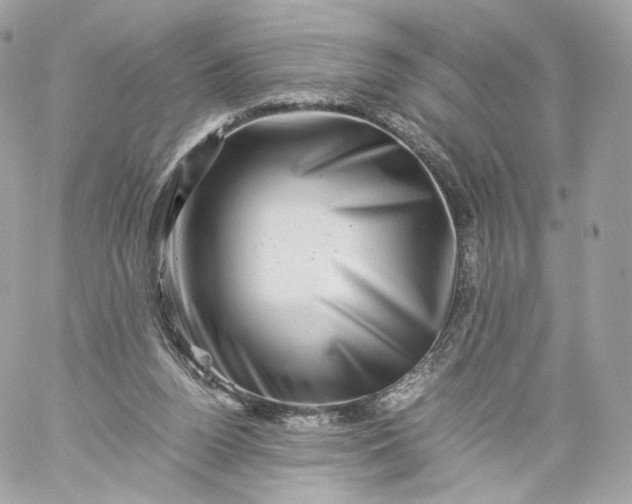 X0000060280160200511112122