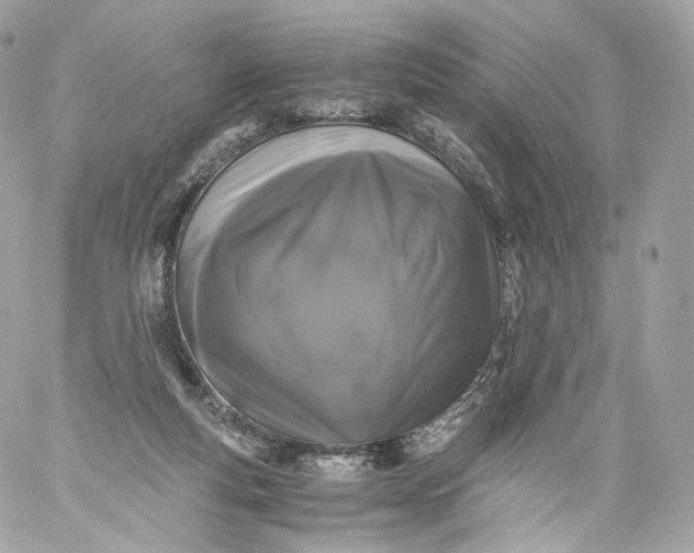X0000060280163200511112122