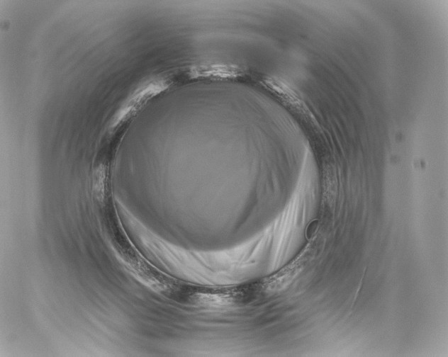 X0000060280167200511112122