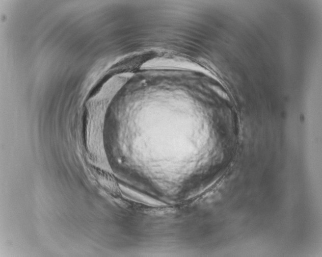 X0000060280241200511112120