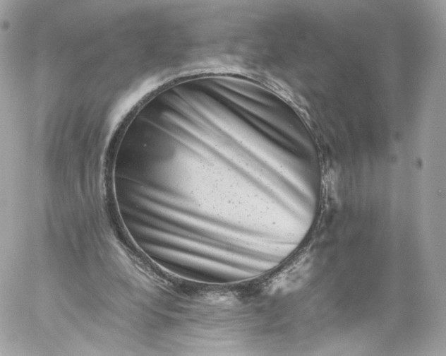 X0000060280248200511112121