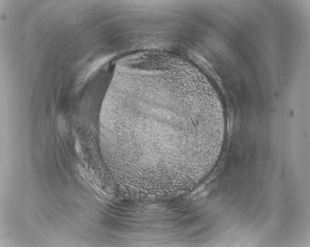 X0000060280249200511112121