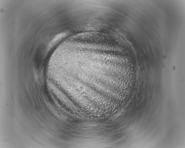 X0000060280250200511112121