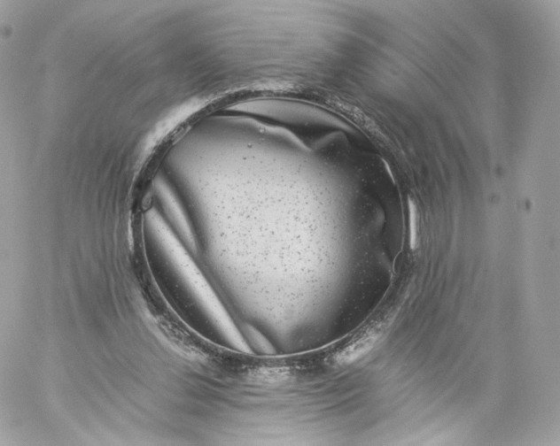 X0000060280252200511112121