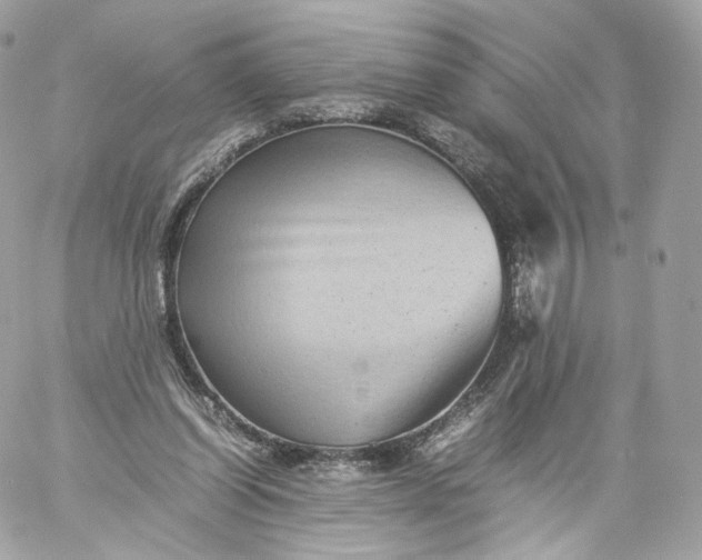 X0000060280254200511112121