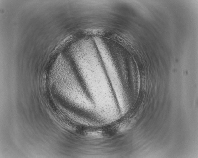 X0000060280263200511112121