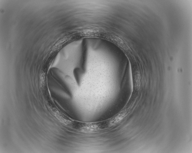 X0000060280278200511112121