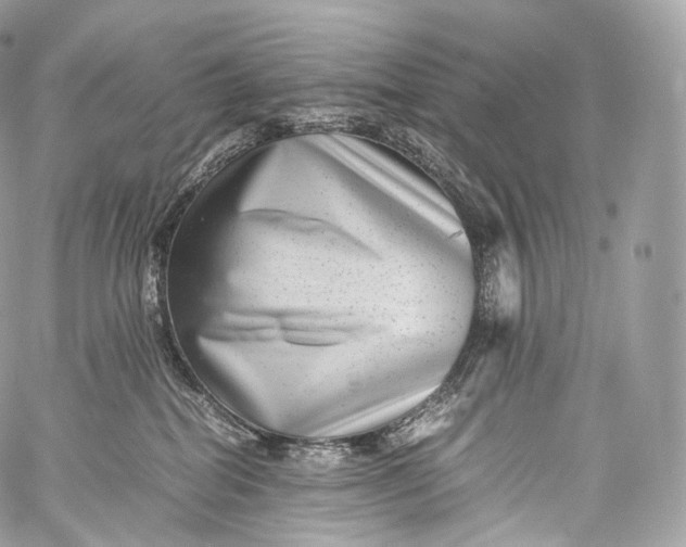 X0000060280282200511112121