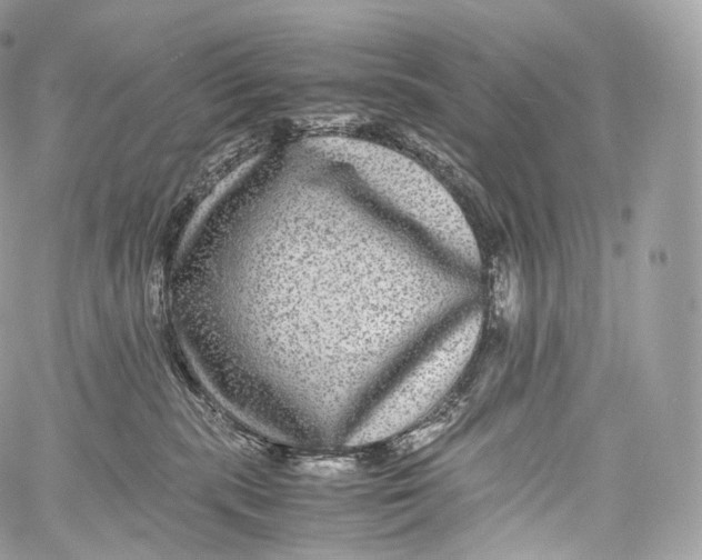 X0000060280283200511112121