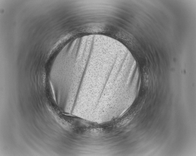X0000060280304200511112120