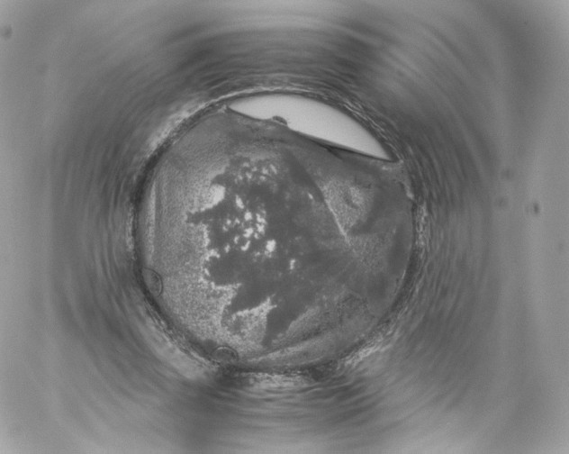 X0000060280347200511112119