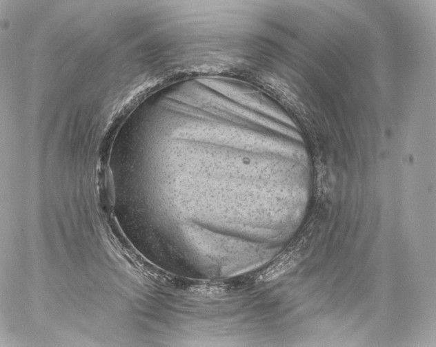 X0000060280354200511112119