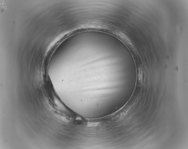 X0000060280388200511112119