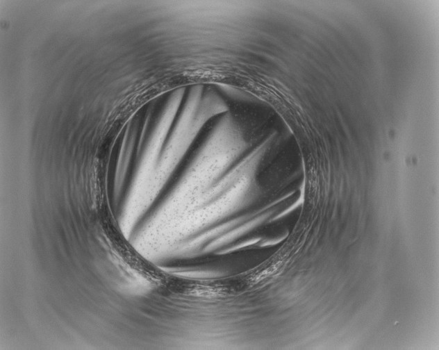 X0000060280416200511112118