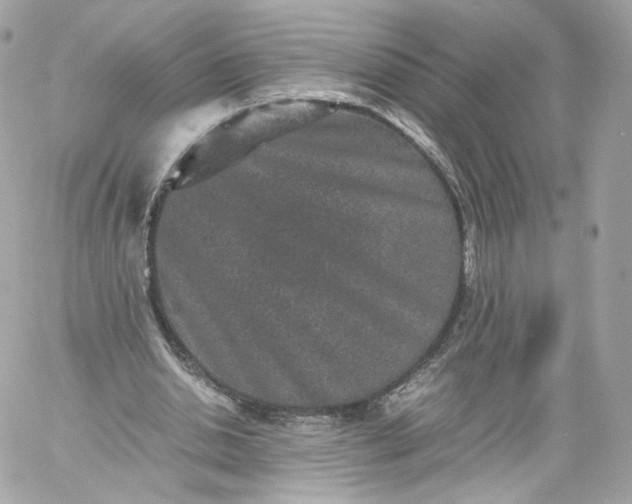 X0000060280438200511112117