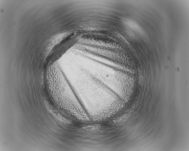 X0000060280447200511112117