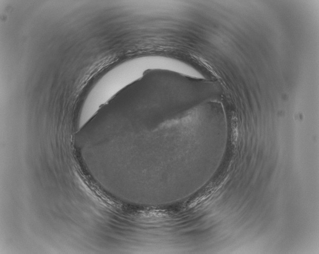 X0000060280451200511112118