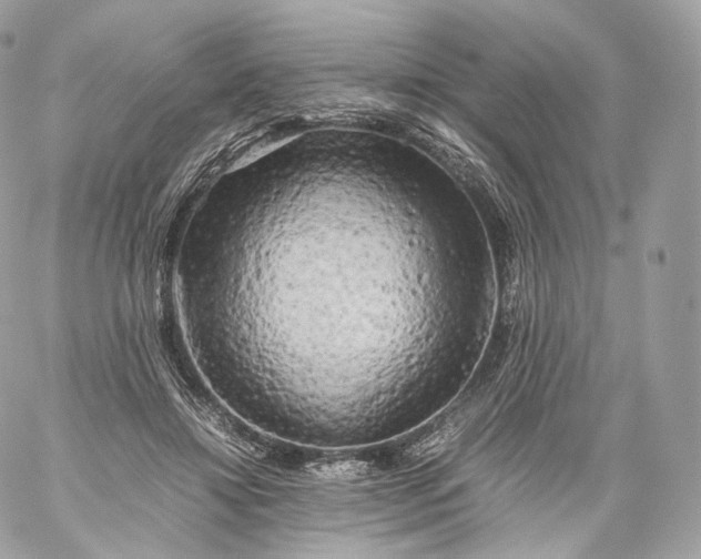 X0000060280452200511112118