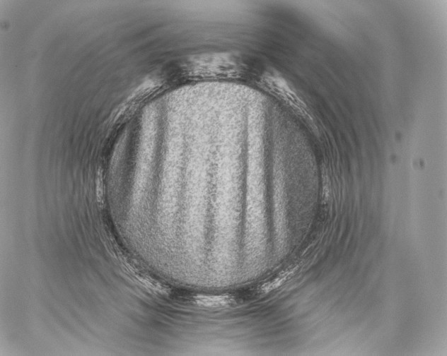 X0000060280457200511112118