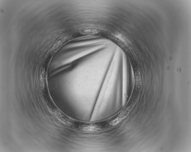 X0000060280460200511112118