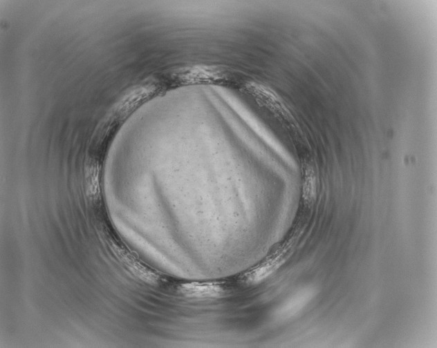 X0000060280477200511112118