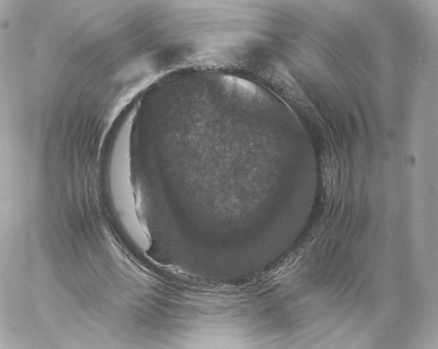 X0000060280488200511112117