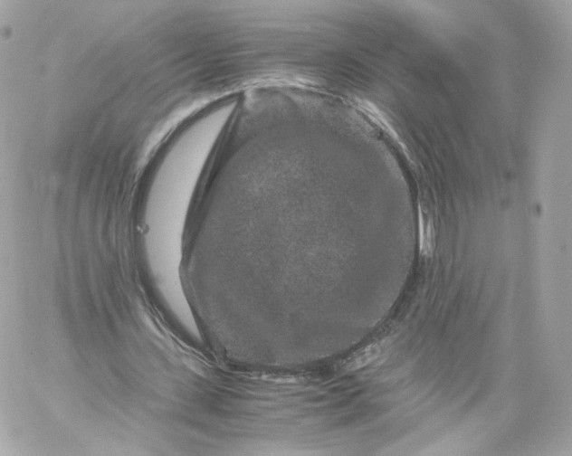 X0000060280531200511112116