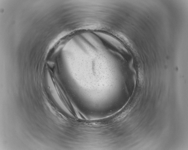 X0000060280532200511112116