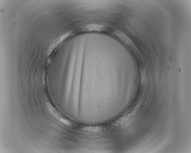 X0000060280537200511112116