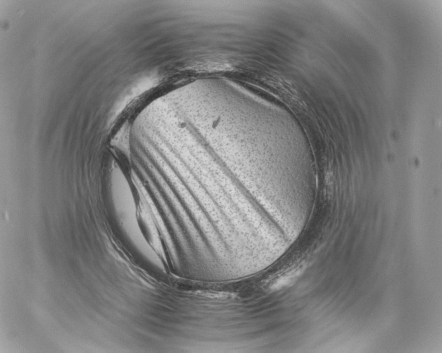 X0000060280539200511112116