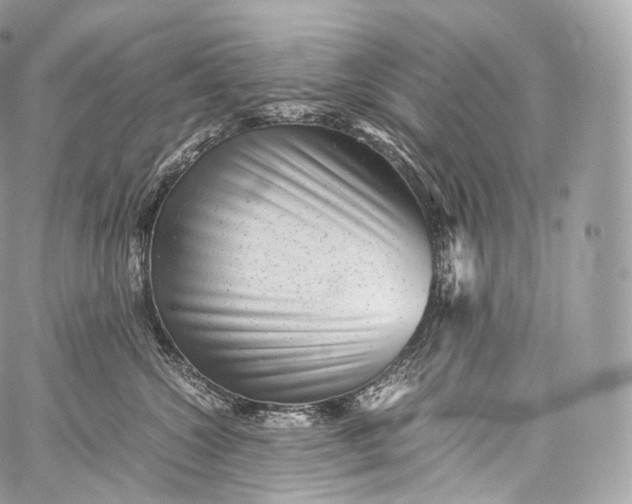 X0000060280572200511112116