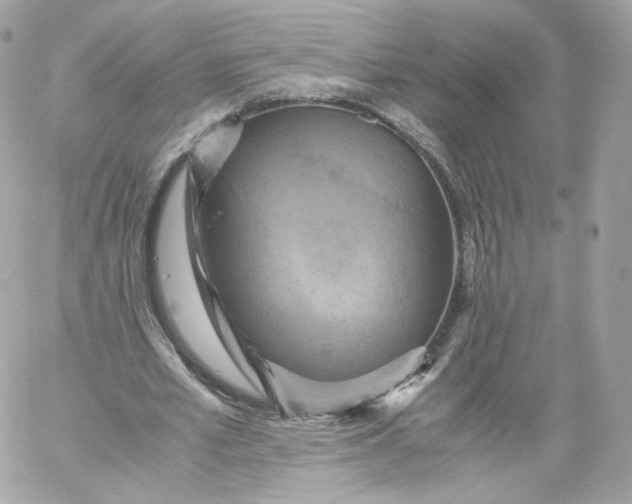 X0000060280581200511112115