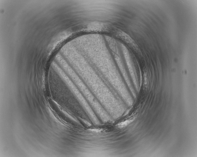 X0000060280588200511112115