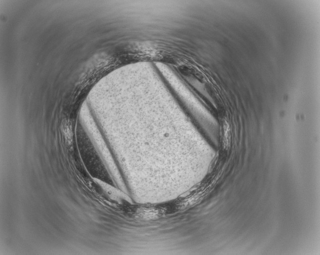 X0000060280613200511112115