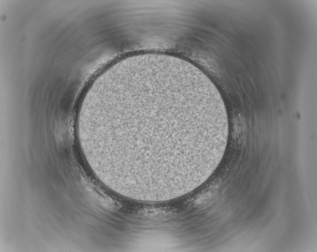 X0000060280632200511112114