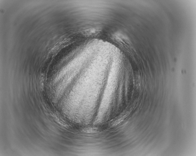 X0000060280664200511112115