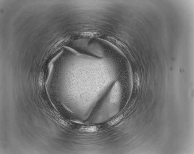 X0000060280665200511112115