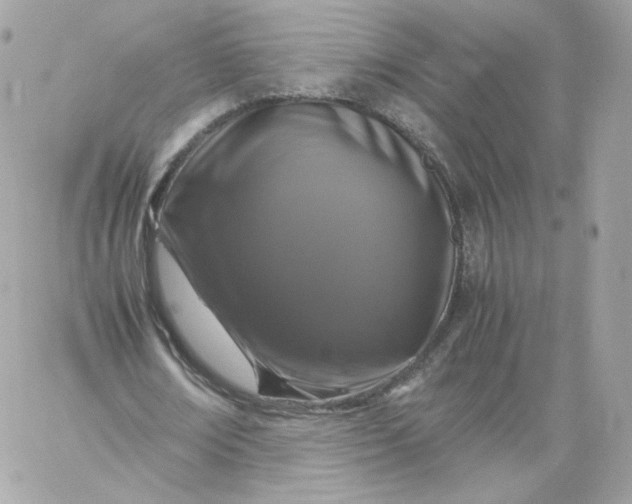 X0000060280674200511112114