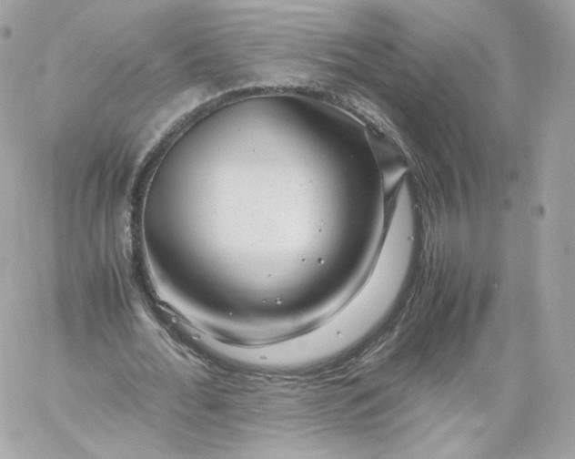 X0000060280676200511112114