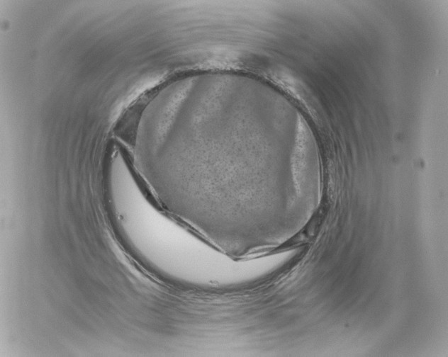 X0000060280677200511112114