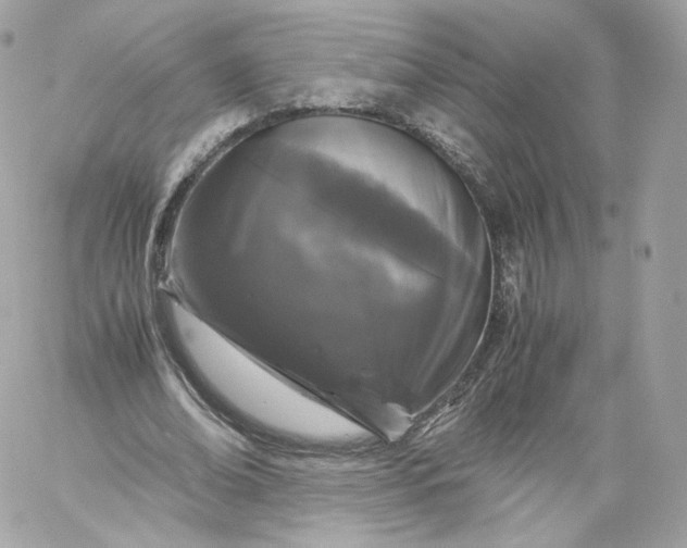 X0000060280678200511112114