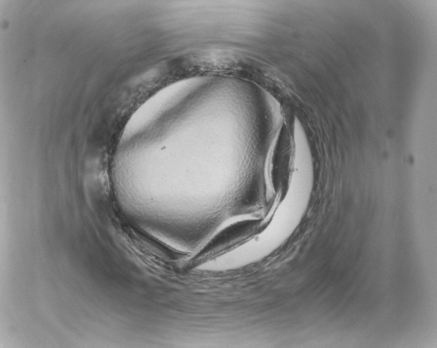 X0000060280771200511112112