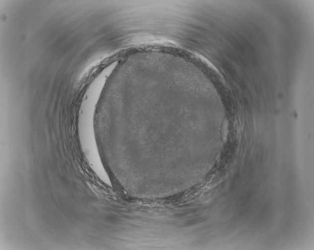 X0000060280775200511112112