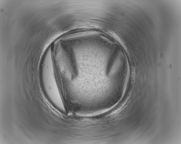 X0000060280787200511112112