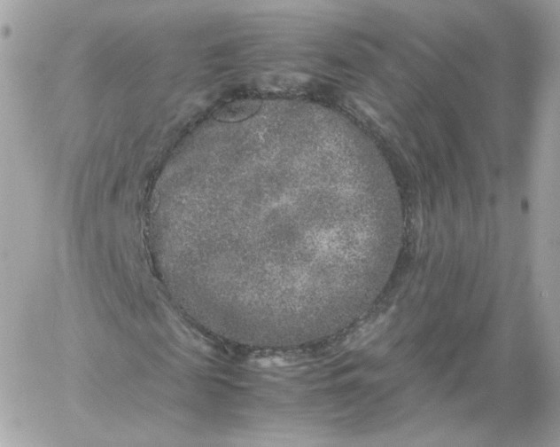 X0000060280817200511112111