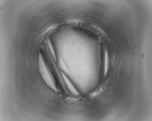 X0000060280821200511112111