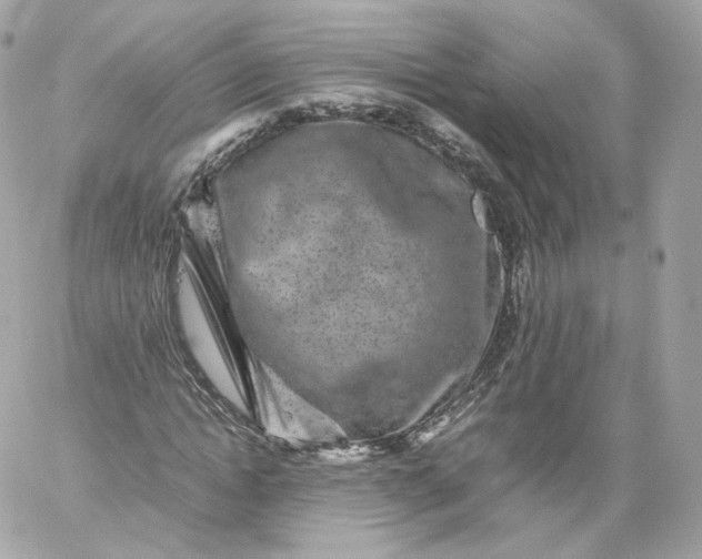X0000060280822200511112111