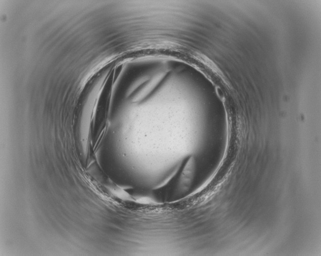 X0000060280826200511112111