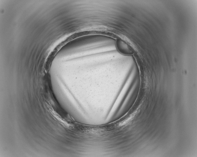 X0000060280830200511112111